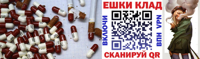 как найти наркотики  Порхов  ЭКСТАЗИ круглые 