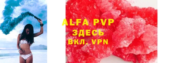 мяу мяу мука Абаза