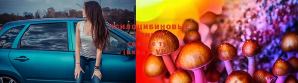 эйфоретик Абинск