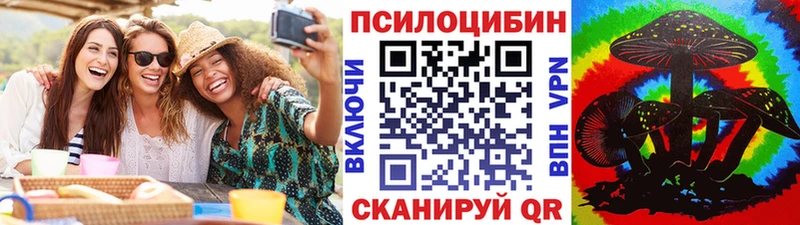 купить наркотик Порхов Псилоцибиновые грибы Psilocybe